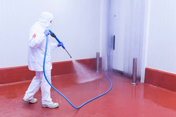 Best Oil Spill Cleanup  in Seco Mines, TX
