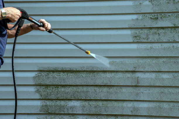 Best Roof Washing  in Seco Mines, TX