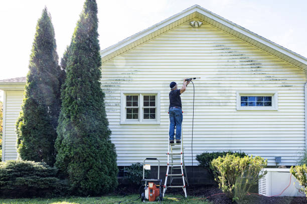 Professional Pressure Washing in Seco Mines, TX