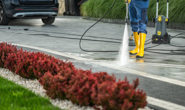 Best Sign and Awning Cleaning  in Seco Mines, TX