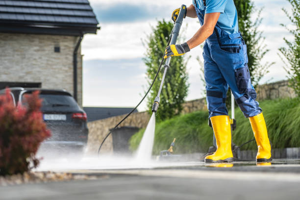 Best Solar Panel Cleaning  in Seco Mines, TX